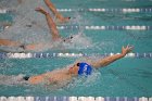 Swim vs Bentley  Wheaton College Swimming & Diving vs Bentley University. - Photo by Keith Nordstrom : Wheaton, Swimming & Diving